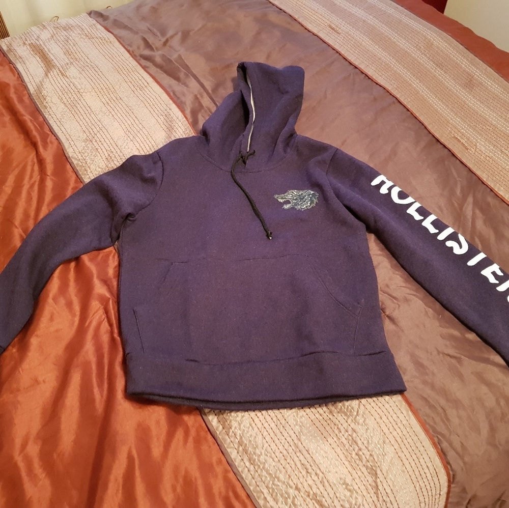 Hollister hoodie
